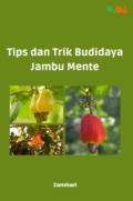 TIPS DAN TRIK BUDIDAYA JAMBU MENTE