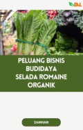PELUANG BISNIS BUDIDAYA SELADA ROMAINE ORGANIK