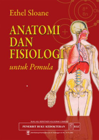 ANATOMI DAN FISILOGI UNTUK PEMULA