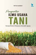 PENGANTAR ILMU USAHA TANI: Konsep Efisisensi Pemasaran Komoditi Jagung